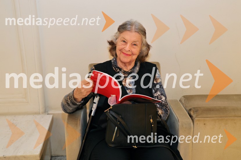 Ženske na oblasti, premiera drame v SNG Maribor