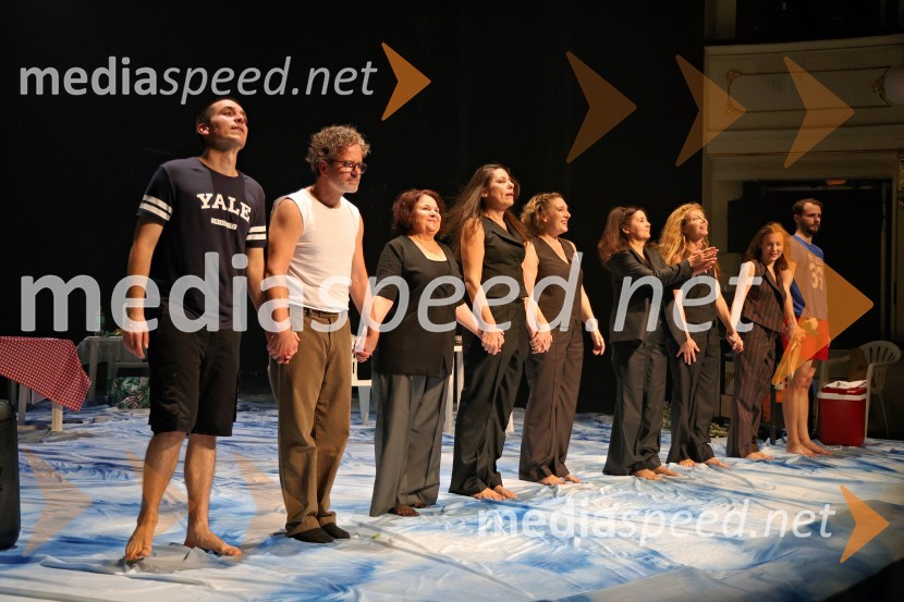  Petja Labović, igralec;  Vojko Belšak, igralec;  Irena Varga, igralka;  Minca Lorenci, igralka;  Maša Žilavec, igralka;  Ksenija Mišič, igralka;  Nataša Matjašec Rošker, igralka;  Liza Marijina, igralka;  Blaž Dolenc, igralecŽenske na oblasti, premiera drame v SNG Maribor