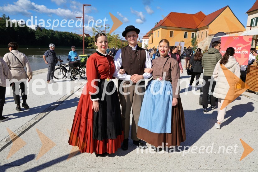 Svečana trgatev Najstarejše trte 2024