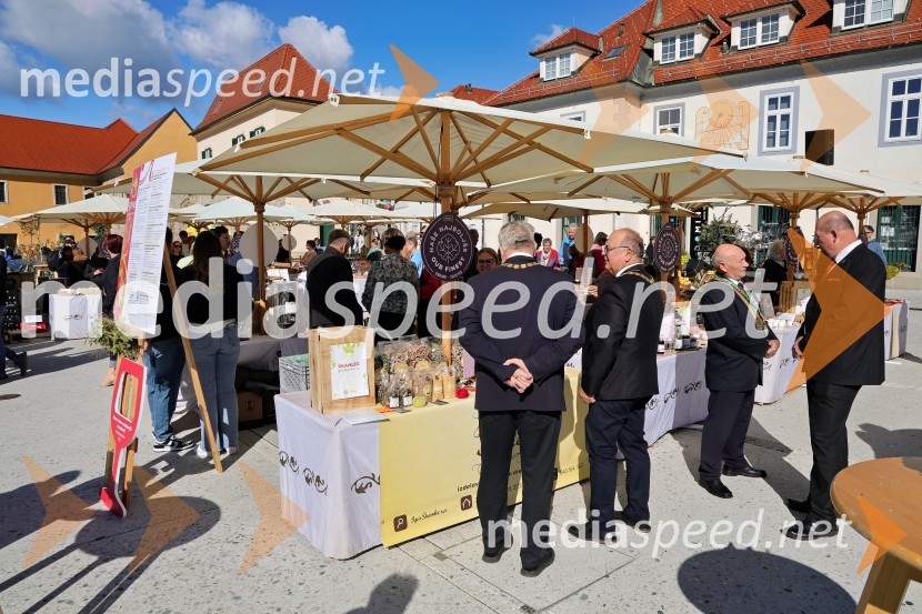 Svečana trgatev Najstarejše trte 2024