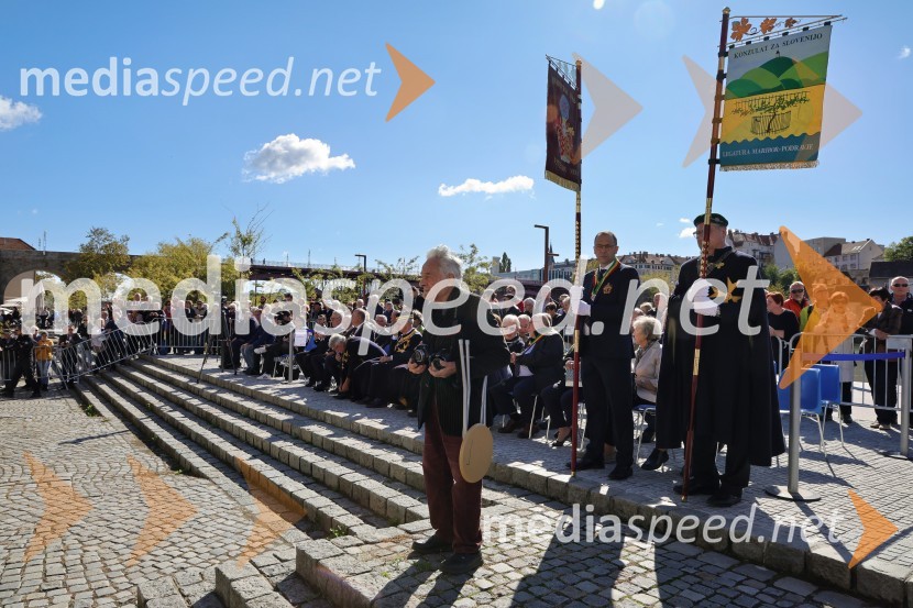 Svečana trgatev Najstarejše trte 2024