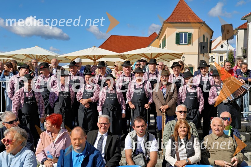 Svečana trgatev Najstarejše trte 2024