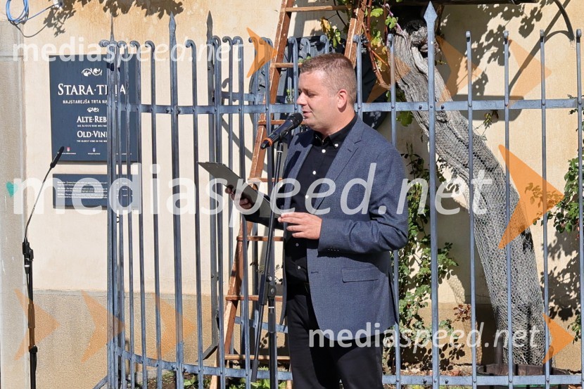  Stane Kocutar, mestni viničar, skrbnik Stare trte, novinar Radia Maribor, zgodovinarSvečana trgatev Najstarejše trte 2024