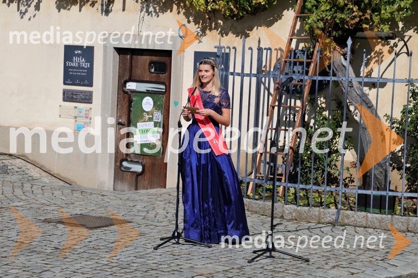  Maruša Mukenauer, Mariborska vinska kraljica 2023Svečana trgatev Najstarejše trte 2024