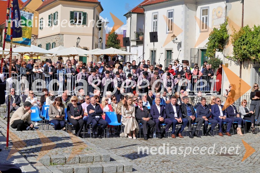 Svečana trgatev Najstarejše trte 2024