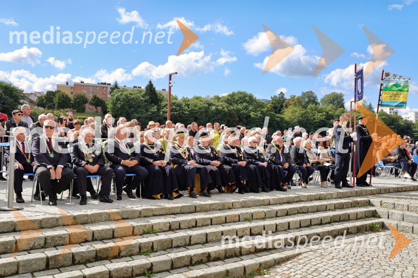 Svečana trgatev Najstarejše trte 2024