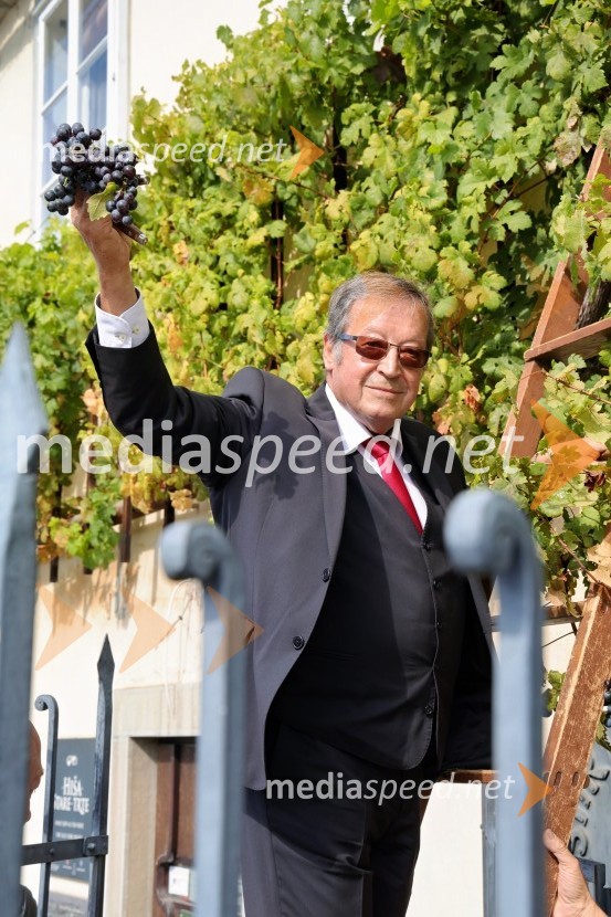 mag.  Jože Protner, vinarSvečana trgatev Najstarejše trte 2024