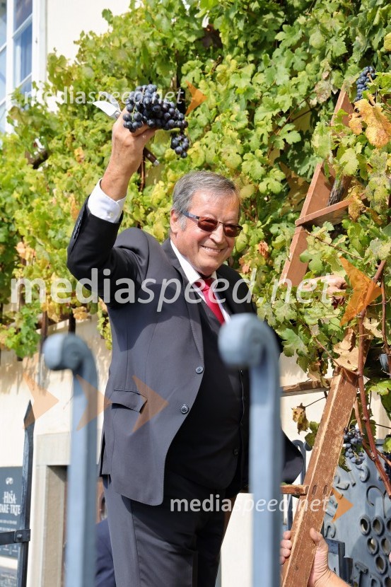 mag.  Jože Protner, vinarSvečana trgatev Najstarejše trte 2024