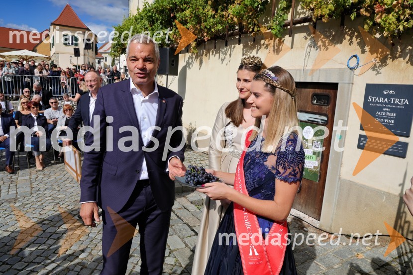  Aleksander Saša Arsenovič, župan, Mestna občina Maribor;  Sanja Ferjančič, 27. Vinska kraljica Slovenije 2024;  Maruša Mukenauer, Mariborska vinska kraljica 2023Svečana trgatev Najstarejše trte 2024