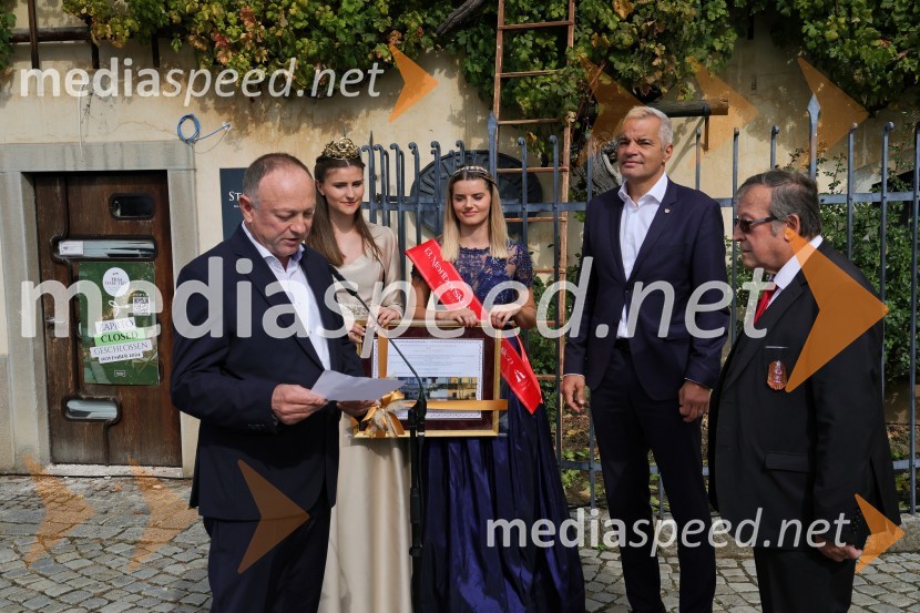 Stane Kocutar, mestni viničar, skrbnik Stare trte, novinar Radia Maribor, zgodovinar;  Sanja Ferjančič, 27. Vinska kraljica Slovenije 2024;  Maruša Mukenauer, Mariborska vinska kraljica 2023;  Aleksander Saša Arsenovič, župan, Mestna občina Maribor; mag.  Jože Protner, vinarSvečana trgatev Najstarejše trte 2024