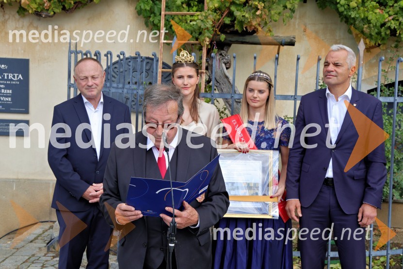  Stane Kocutar, mestni viničar, skrbnik Stare trte, novinar Radia Maribor, zgodovinar; mag.  Jože Protner, vinar;  Sanja Ferjančič, 27. Vinska kraljica Slovenije 2024;  Maruša Mukenauer, Mariborska vinska kraljica 2023;  Aleksander Saša Arsenovič, župan, Mestna občina MariborSvečana trgatev Najstarejše trte 2024
