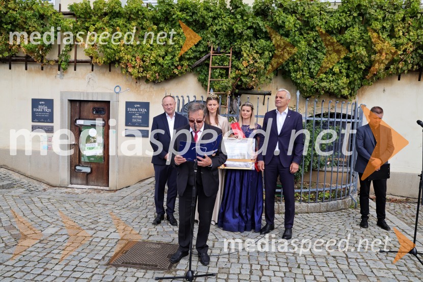 mag.  Jože Protner, vinarSvečana trgatev Najstarejše trte 2024