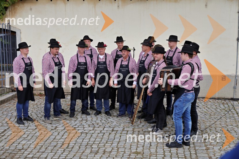 Svečana trgatev Najstarejše trte 2024