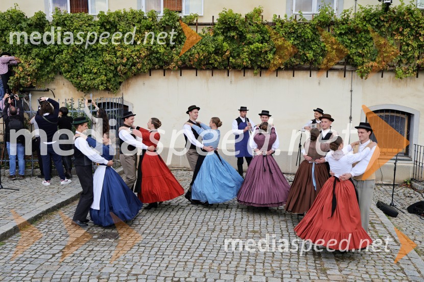 Svečana trgatev Najstarejše trte 2024