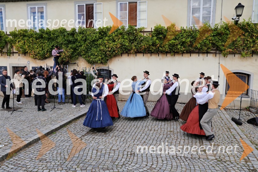 Svečana trgatev Najstarejše trte 2024