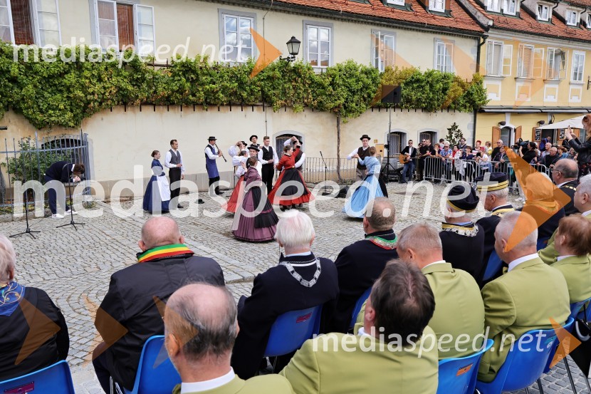 Svečana trgatev Najstarejše trte 2024