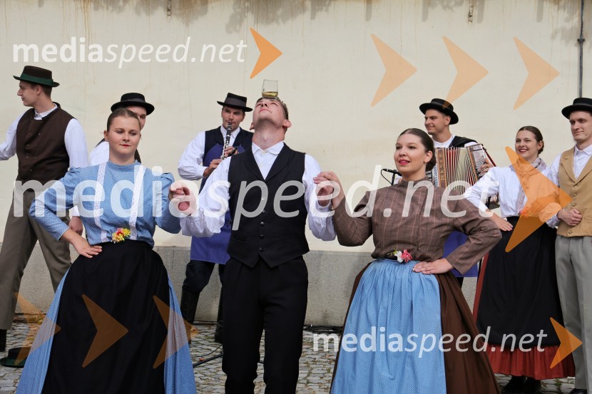 Svečana trgatev Najstarejše trte 2024