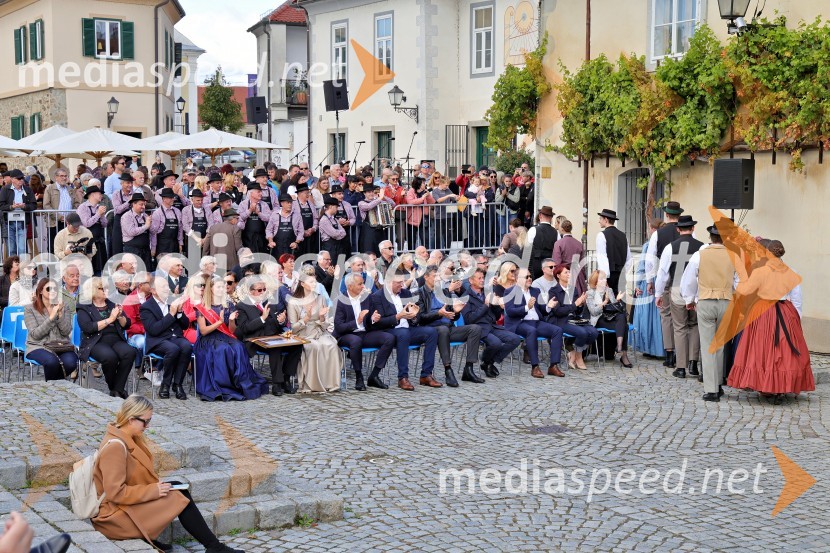 Svečana trgatev Najstarejše trte 2024