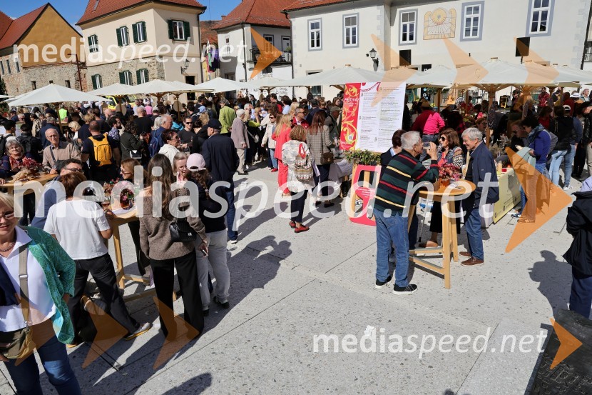 Svečana trgatev Najstarejše trte 2024