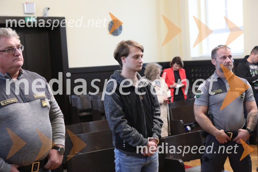  ... ;  Luka Gašparič;  ... Luka Gašparič za poskus umora v mariborskem parku dobil 15 let zapora