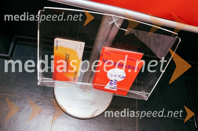 Veselja dom, premiera komedije v SLG Celje