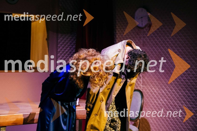  Manca  Ogorevc, igralka;  Tarek Rashid, igralecVeselja dom, premiera komedije v SLG Celje