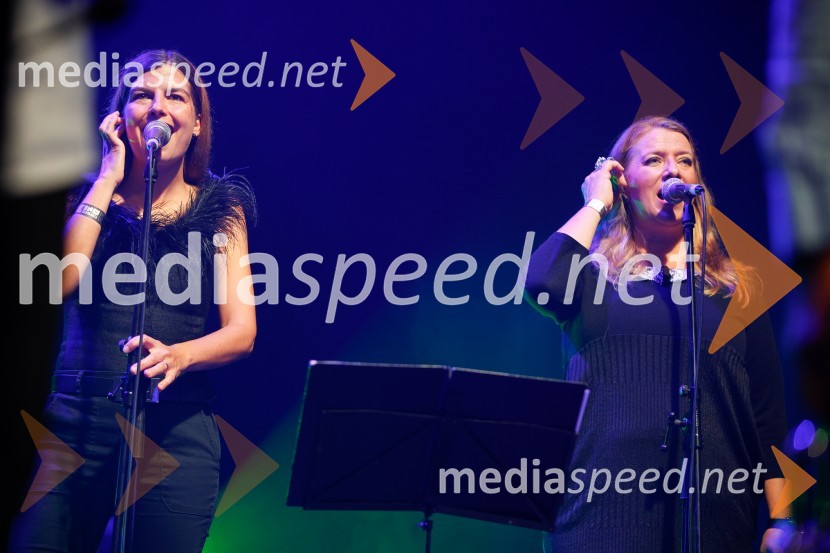 Koncert ob 35-letnici skupine Orlek