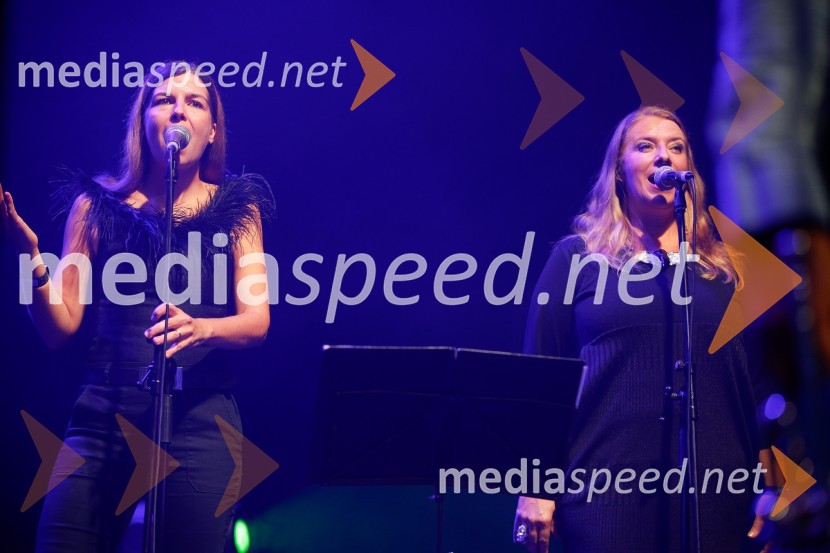 Koncert ob 35-letnici skupine Orlek