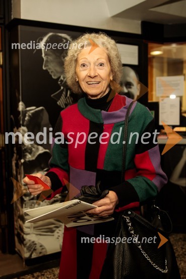  Alenka Pirjevec, lutkovna ustvarjalkaKje mi živimo, premiera avtorske predstave, SMG Ljubljana