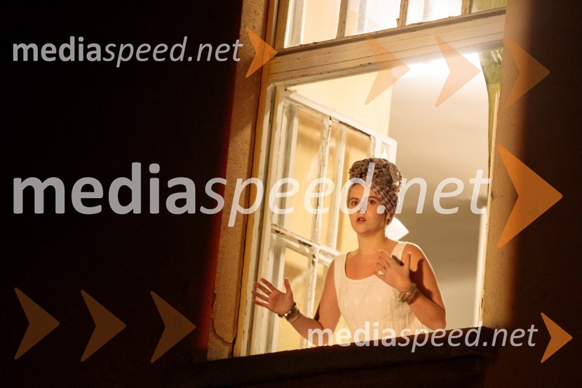  Suzana Krevh, igralkaKje mi živimo, premiera avtorske predstave, SMG Ljubljana