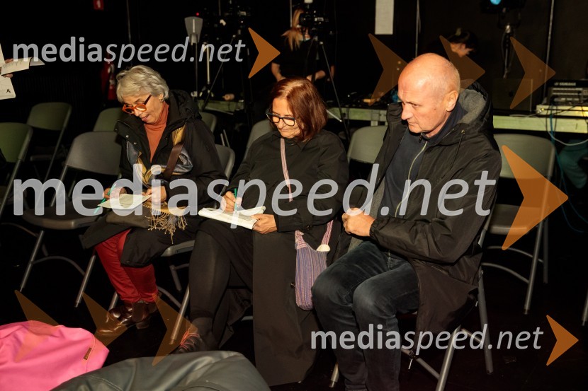  Alja Predan, selektorica, Teden slovenske drame;  ... ;  ... Kje mi živimo, premiera avtorske predstave, SMG Ljubljana