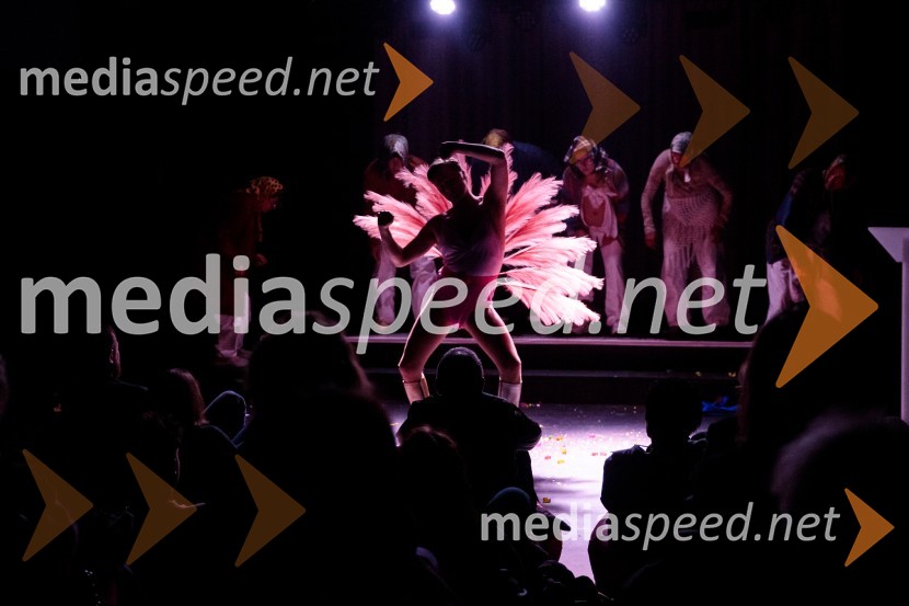  Stane Tomazin, igralecKje mi živimo, premiera avtorske predstave, SMG Ljubljana