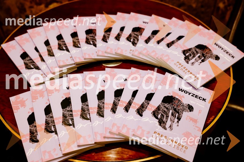 Premiera Woyzeck v Prešernovem gledališču Kranj