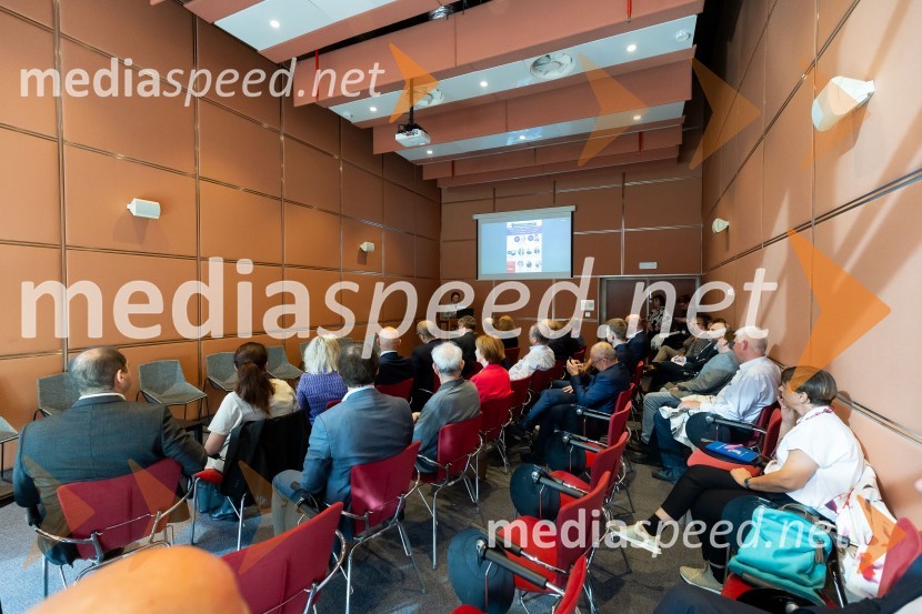 Gospodarska diplomacija - trenutni položaj in prihodnji razvoj v regiji EU