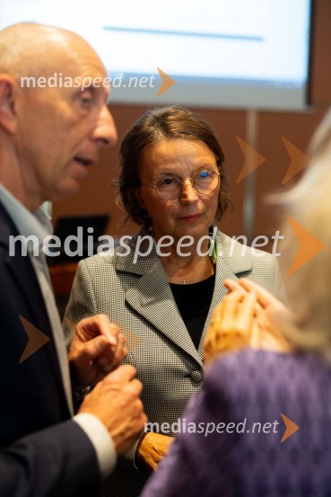  Radovan Bolko, član nadzornega sveta, Kolektor d.d.;  Tatjana  Šikovec, president, French Slovenian Business ClubGospodarska diplomacija - trenutni položaj in prihodnji razvoj v regiji EU