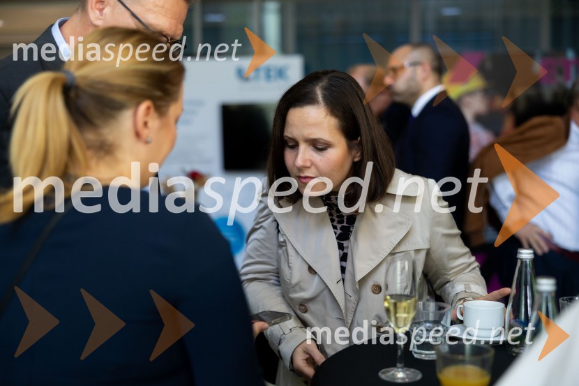 Gospodarska diplomacija - trenutni položaj in prihodnji razvoj v regiji EU