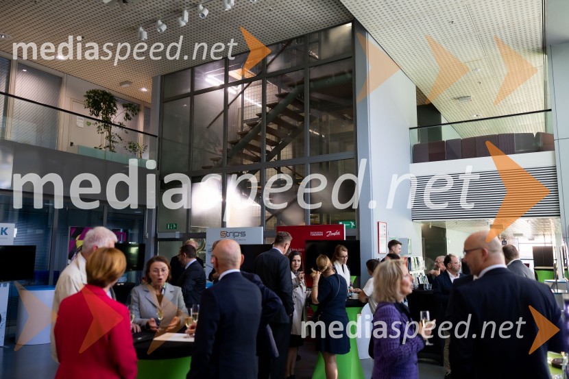 Gospodarska diplomacija - trenutni položaj in prihodnji razvoj v regiji EU