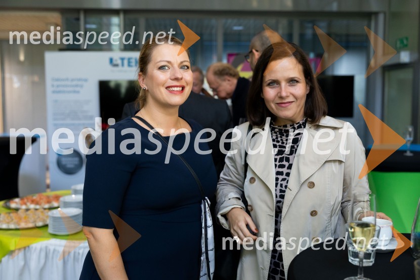  Anton Papež, globalni vodja in soustanovitelj podjetja Interenergo;  ... Gospodarska diplomacija - trenutni položaj in prihodnji razvoj v regiji EU