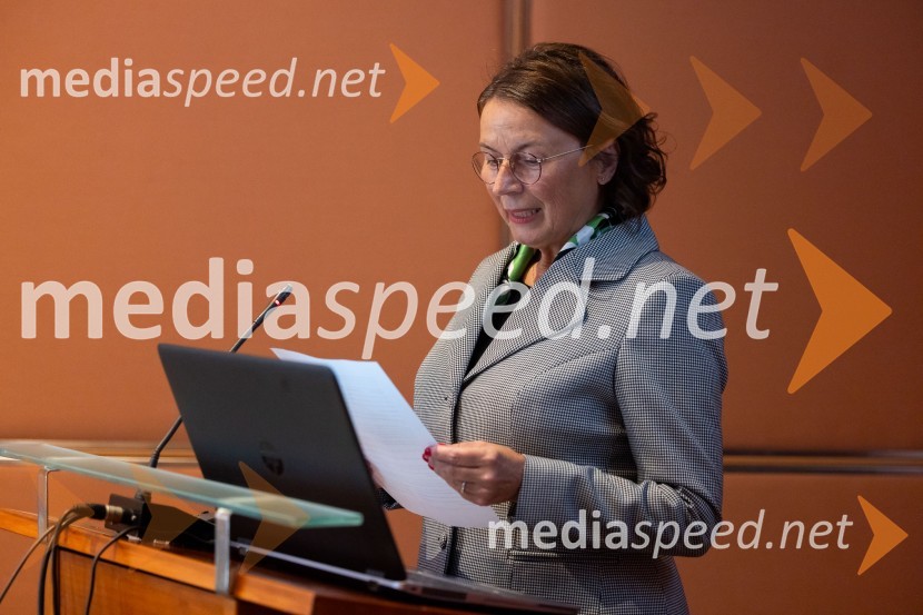  Tatjana  Šikovec, president, French Slovenian Business ClubGospodarska diplomacija - trenutni položaj in prihodnji razvoj v regiji EU