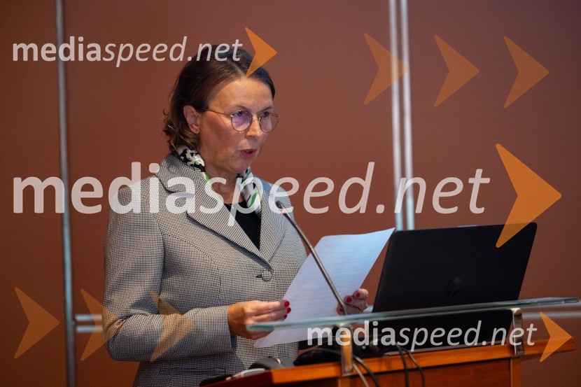  Tatjana  Šikovec, president, French Slovenian Business ClubGospodarska diplomacija - trenutni položaj in prihodnji razvoj v regiji EU