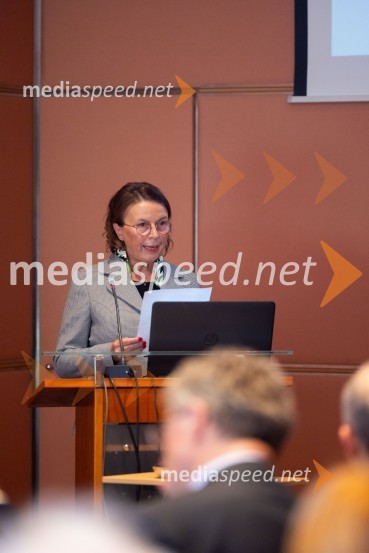  Tatjana  Šikovec, president, French Slovenian Business ClubGospodarska diplomacija - trenutni položaj in prihodnji razvoj v regiji EU