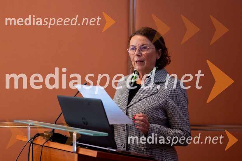  Tatjana  Šikovec, president, French Slovenian Business ClubGospodarska diplomacija - trenutni položaj in prihodnji razvoj v regiji EU