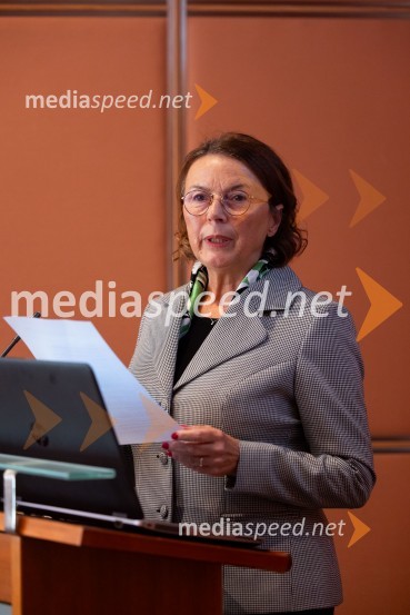  Tatjana  Šikovec, president, French Slovenian Business ClubGospodarska diplomacija - trenutni položaj in prihodnji razvoj v regiji EU