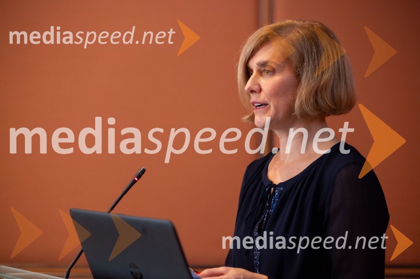 Gospodarska diplomacija - trenutni položaj in prihodnji razvoj v regiji EU