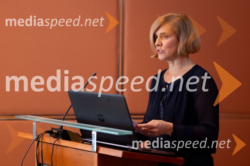 Gospodarska diplomacija - trenutni položaj in prihodnji razvoj v regiji EU