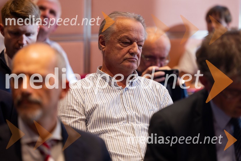  Anton Papež, globalni vodja in soustanovitelj podjetja InterenergoGospodarska diplomacija - trenutni položaj in prihodnji razvoj v regiji EU