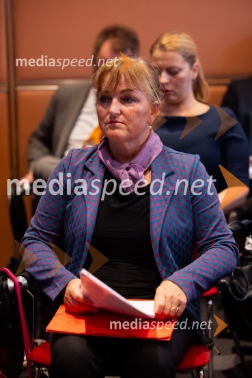 Gospodarska diplomacija - trenutni položaj in prihodnji razvoj v regiji EU