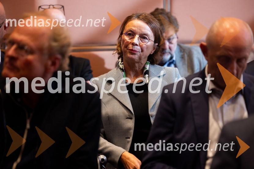  Tatjana  Šikovec, president, French Slovenian Business ClubGospodarska diplomacija - trenutni položaj in prihodnji razvoj v regiji EU