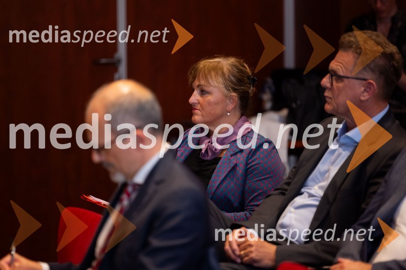 Gospodarska diplomacija - trenutni položaj in prihodnji razvoj v regiji EU