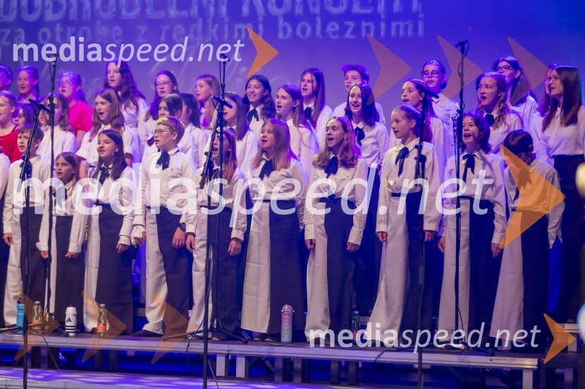 Veliki dobrodelni koncert VILJEM JULIJAN 2024